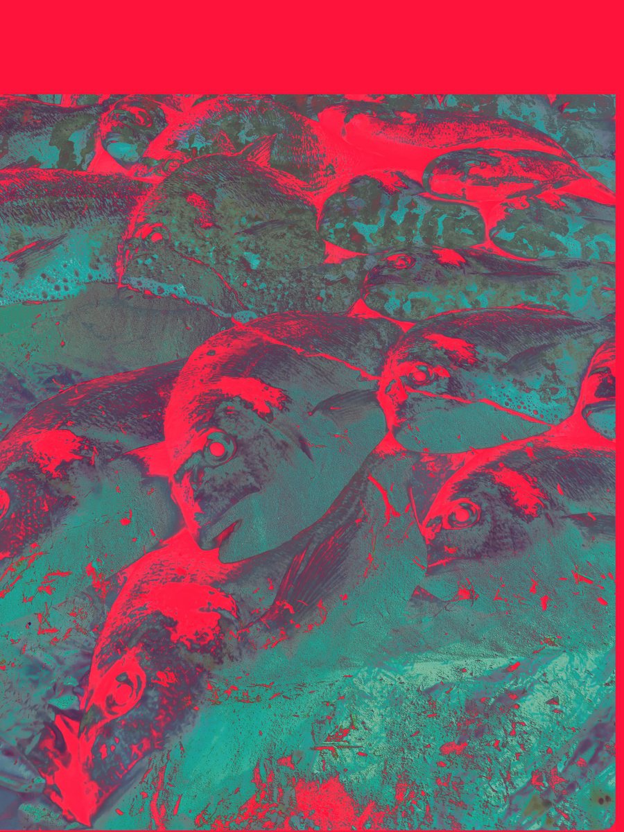 Abstract Animal Screenprint By Yuliia Sharapova, 17 X 22", Photocollage Red Fish Sea Sand, Original Artwork