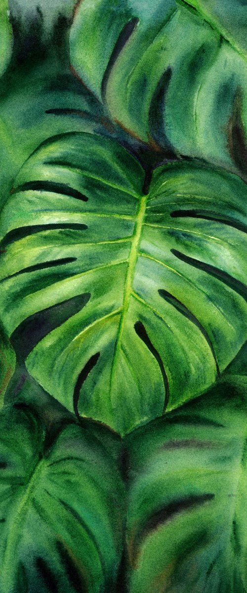 Monstera by Maryna Boiko