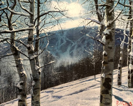 Light in the Snowy Forest