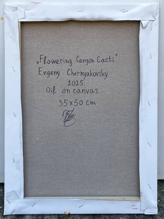 "Flowering Canyon cacti "