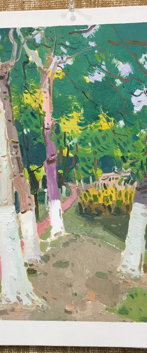 Landscape 263 by jianzhe chon