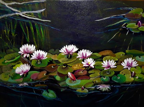 Water Lilies II 2017 by Nancy Brockmon