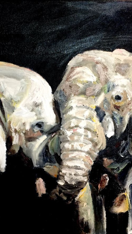 Meaning Of Life by Ryan  Louder