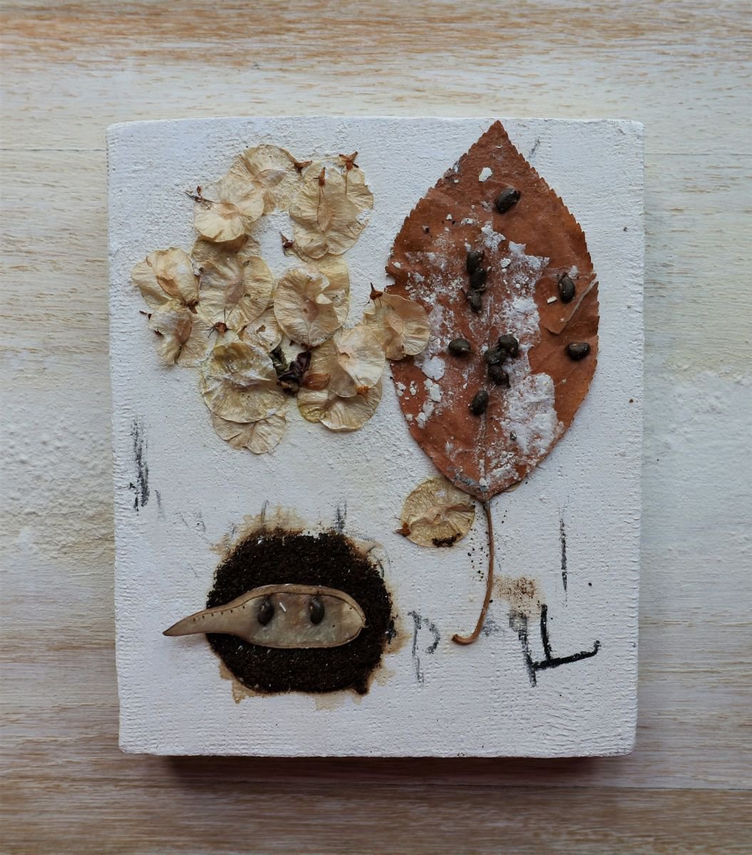 Botanical Collage By Florina Breazu, 4 X 5, April 20Th Iii, Original Artwork