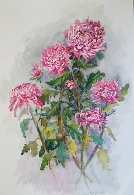 Pink Chrysanthemums Elegance