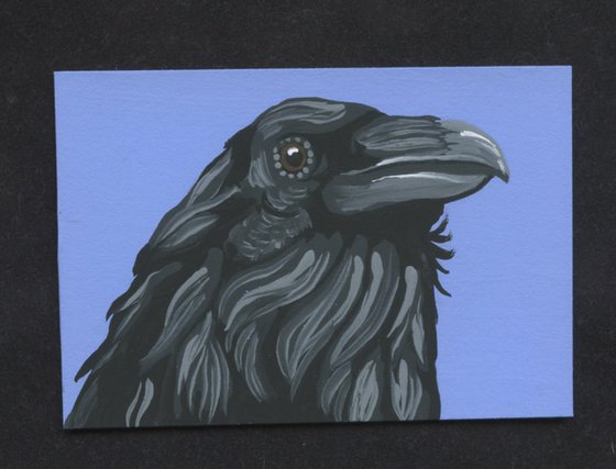 ACEO ATC Original Miniature Painting Crow Raven Bird Wildlife Art-Carla Smale