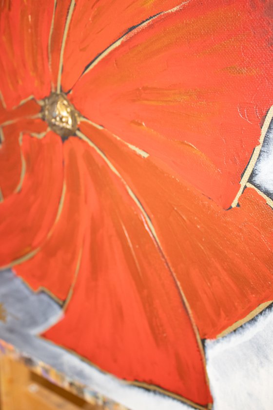 Poppy Flower