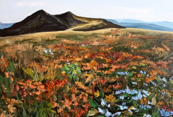  Meadow With Autumn Flowers