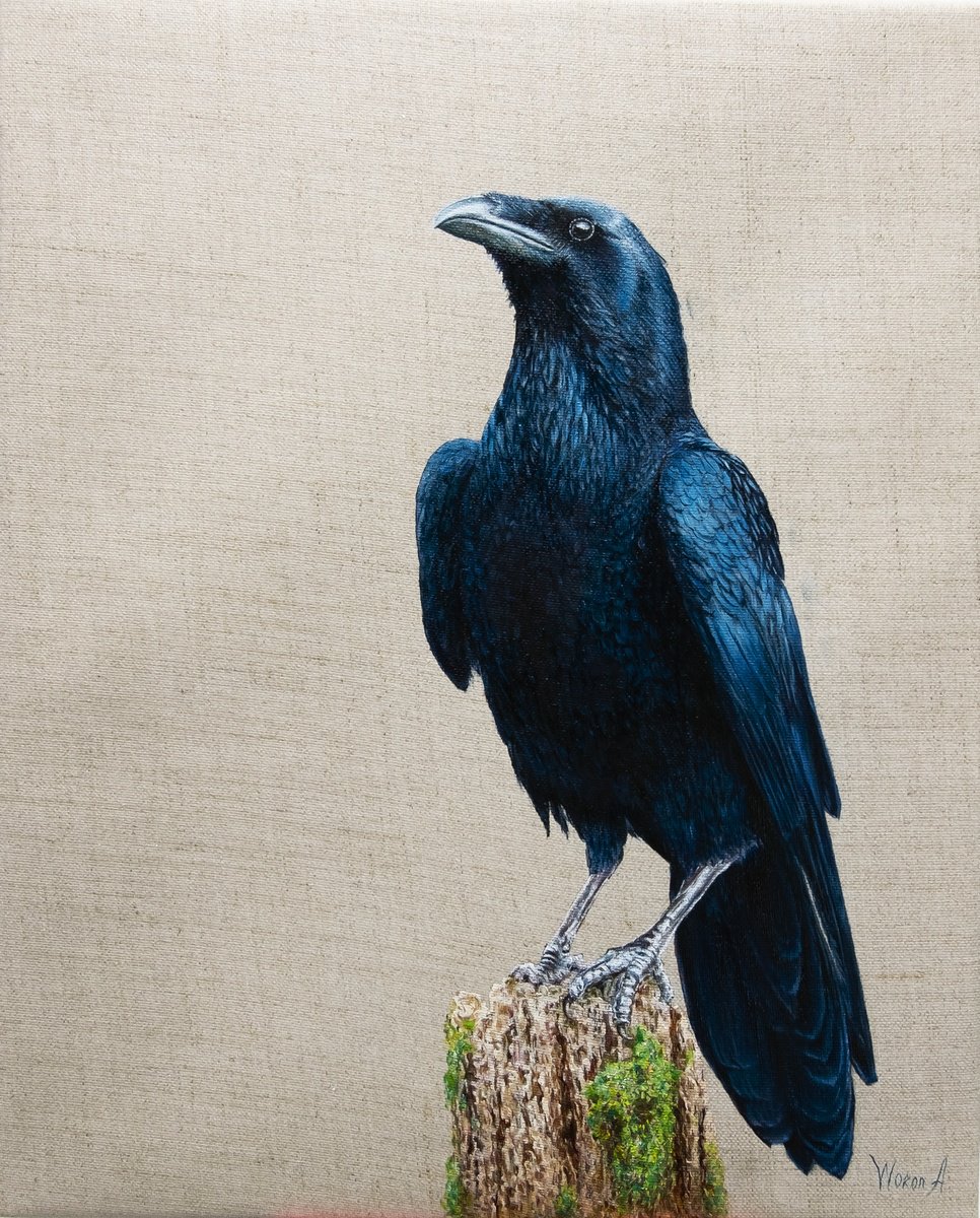 Photorealistic Animal Oil Painting By Anastasia Woron, 13 X 17, The Raven, Original Artwork