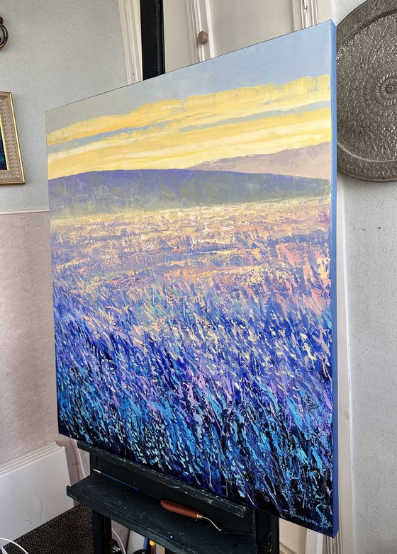 Field at Sunrise III 70x80cm