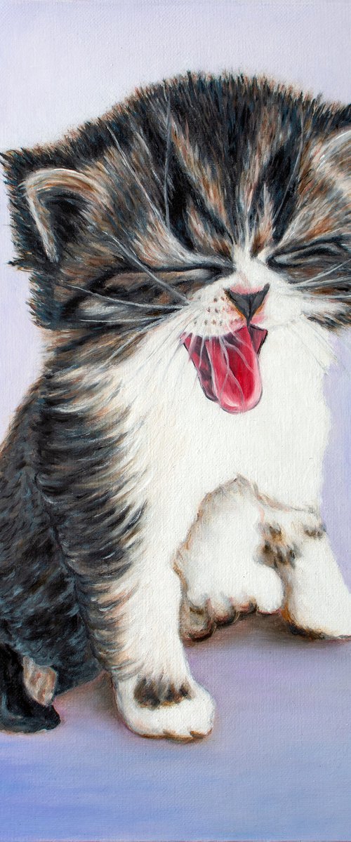 Meow! - original oil painting, cat painting, home decor, gift, wall art, art for sale, artfinder art by Vera Melnyk