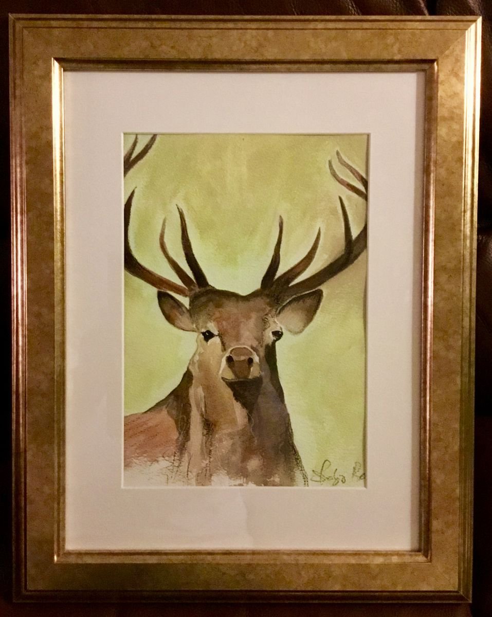 Illustrative Animal Watercolour By Shabs Beigh, 15 X 19", Rustic Stag, Original Artwork