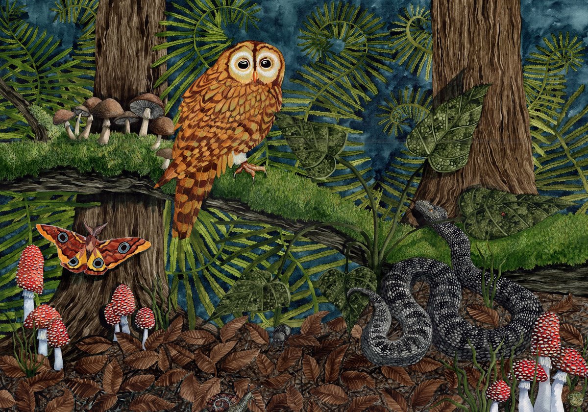 Illustrative Animal Painting By Terri Smith, 53 X 40", Forest Biome, Original Artwork