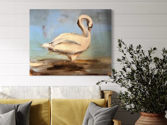 The Swan