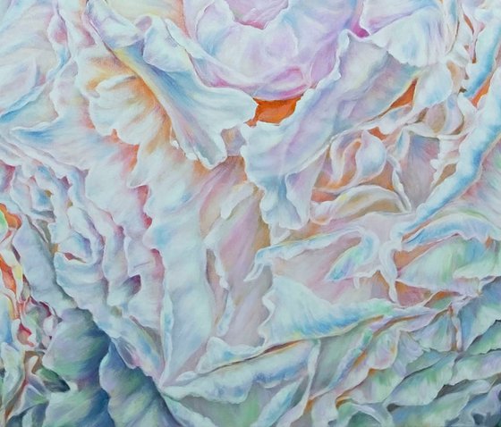 Whisper of Peonies