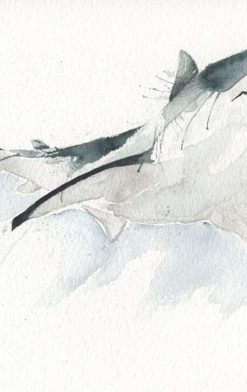 The Great White by Kelsey Emblow