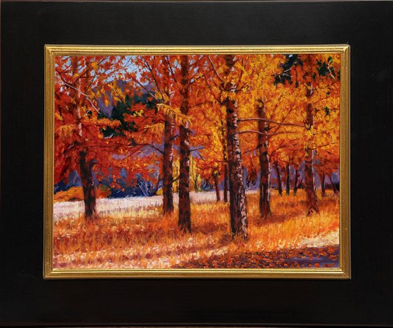 A Symphony of Autumn Aspens