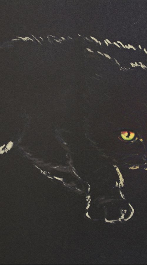 Black kitten in a dark room 2 by Liubov Ponomarova