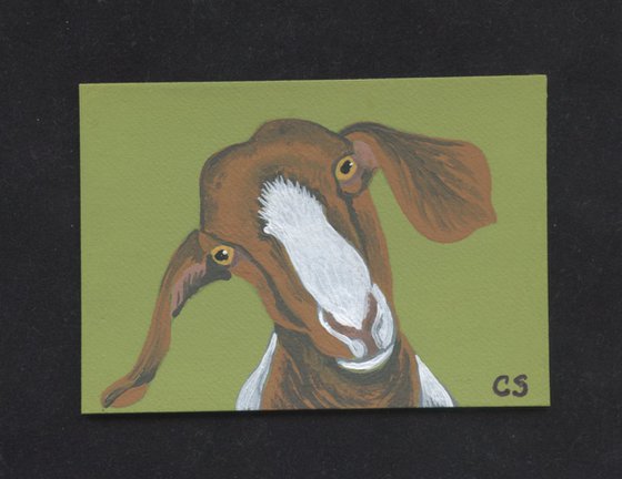 ACEO ATC Original Miniature Painting Boer Goat Pet Farmyard Art-Carla Smale