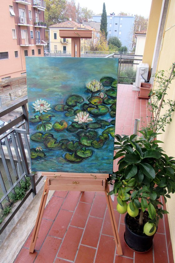 Water Lilies in a Pond