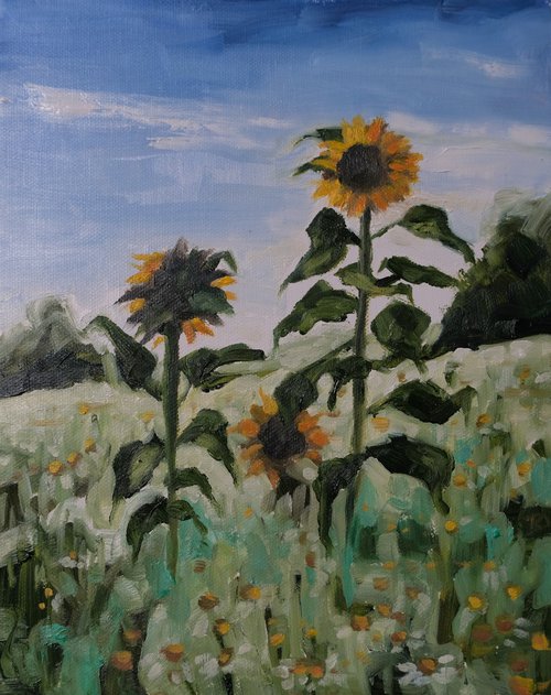 In the sunflower fields by Kerry Lisa Davies