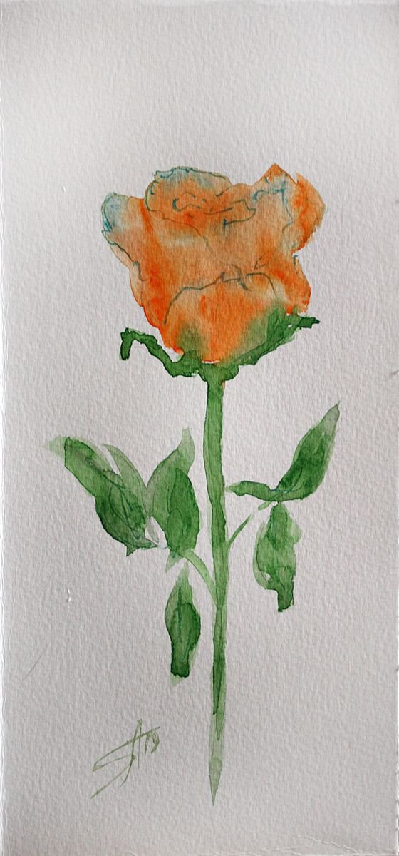 Rose 01  / Original Painting / emotion in the portrait of a flower / color harmony of watercolor / a gift for you