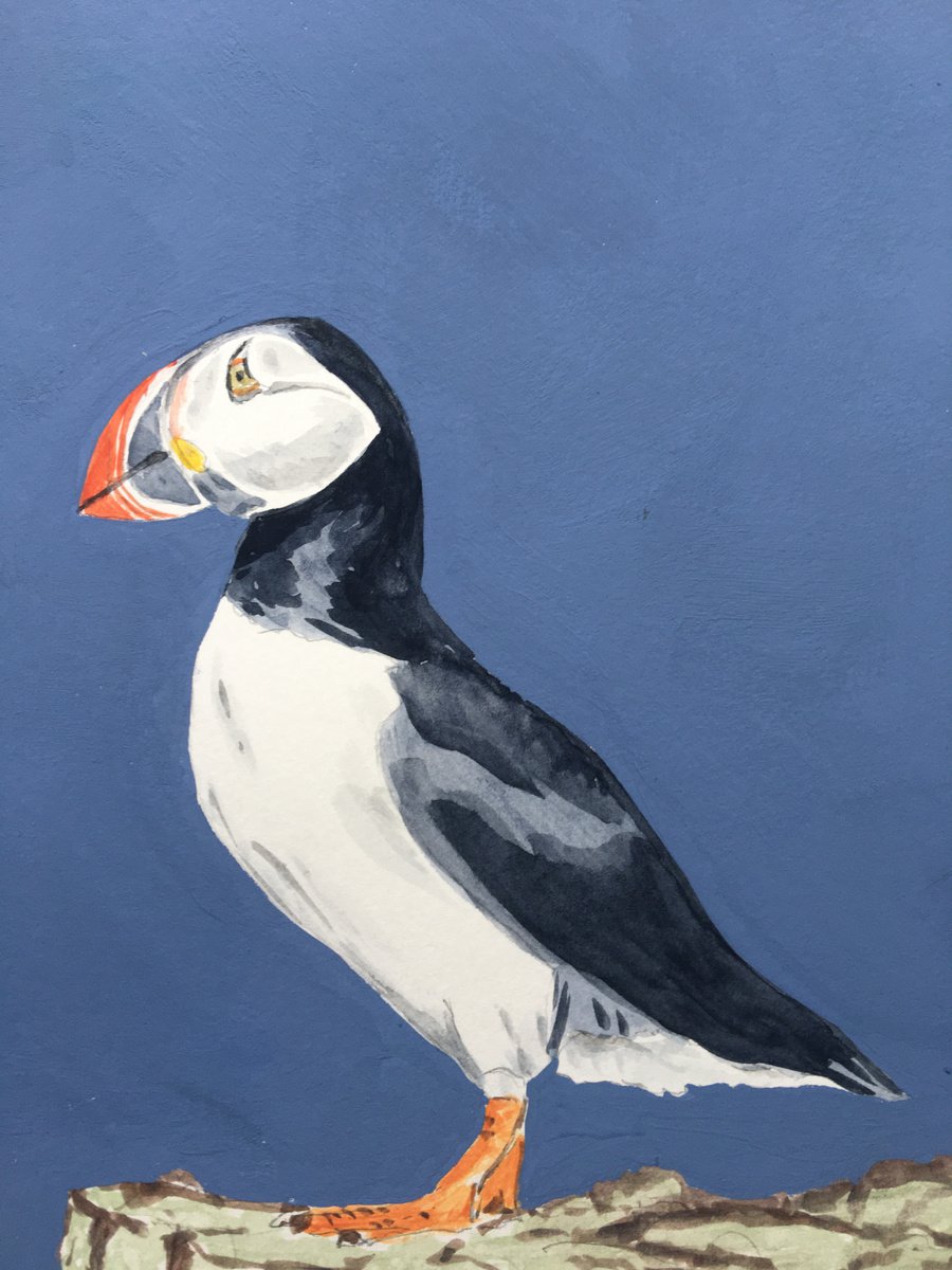 Puffin #4 by Laurence Wheeler