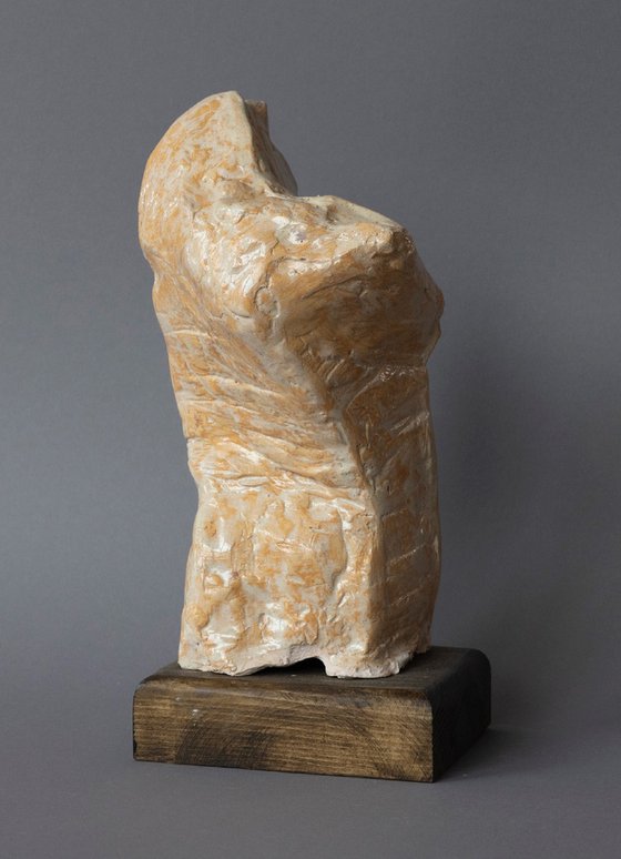 "Male Torso II"
