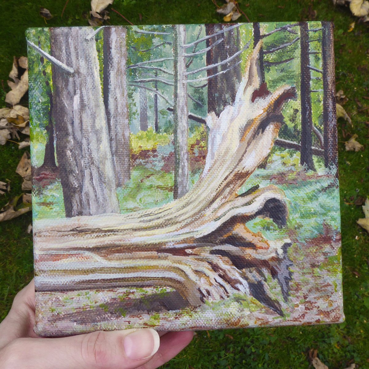 Impressionistic Landscape Acrylic Painting By Jacqueline Talbot, 6 X 6, Fallen Tree, The New Forest, Original Artwork