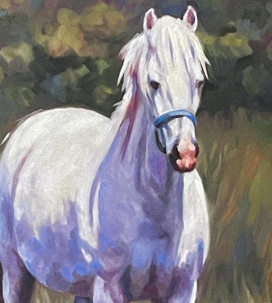 Summer Day - White Pony
