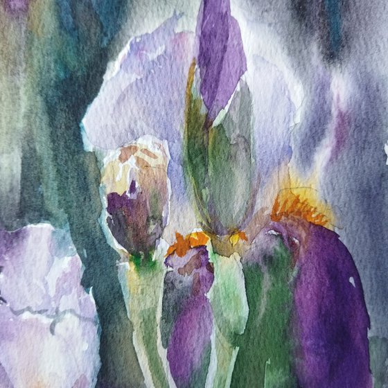 Iris flowers
