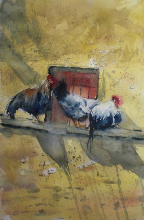 rooster and hens 2 by Giorgio Gosti