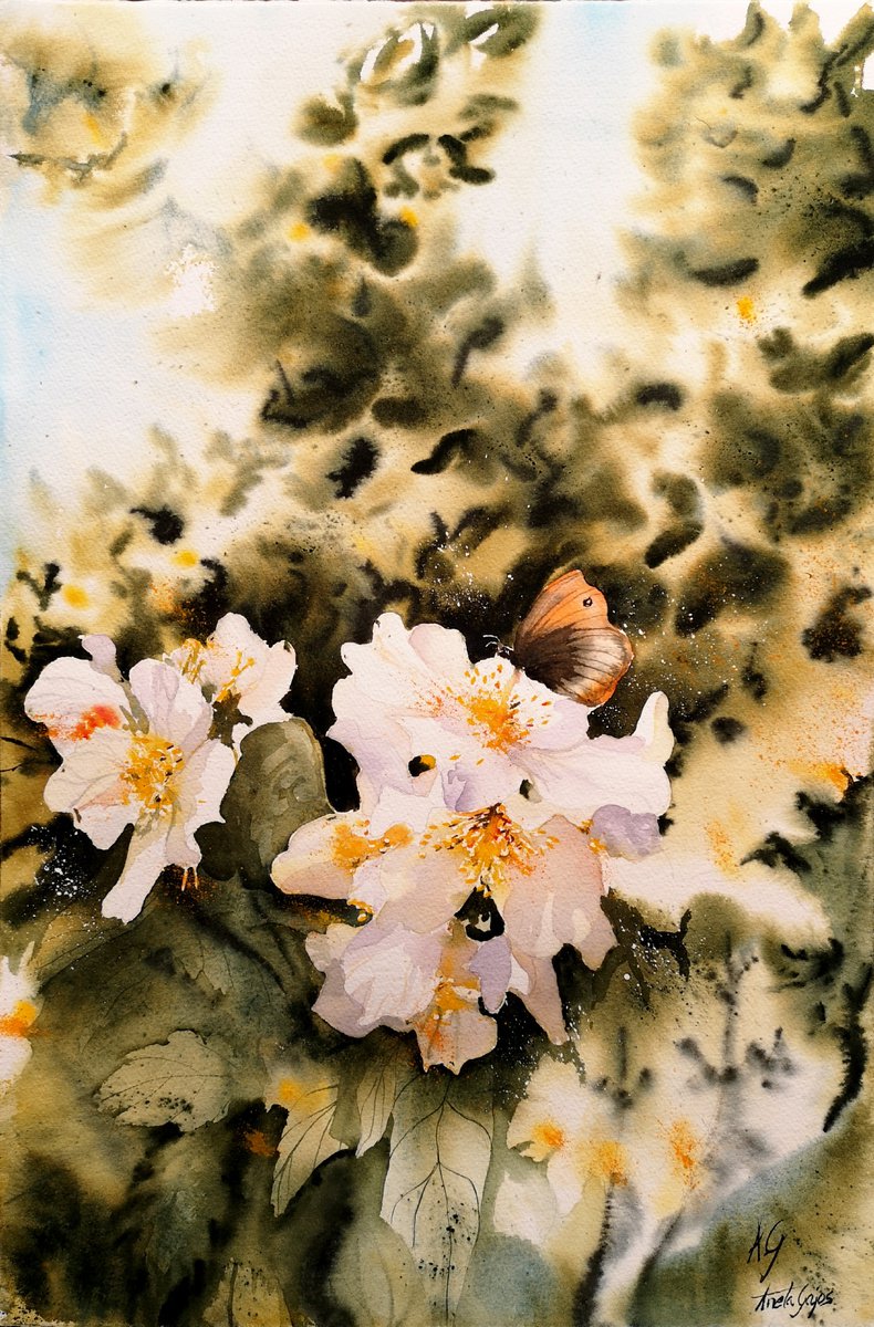 Impressionistic Botanical Watercolour By Aneta Gajos, 15 X 22, Delicacy, Original Artwork