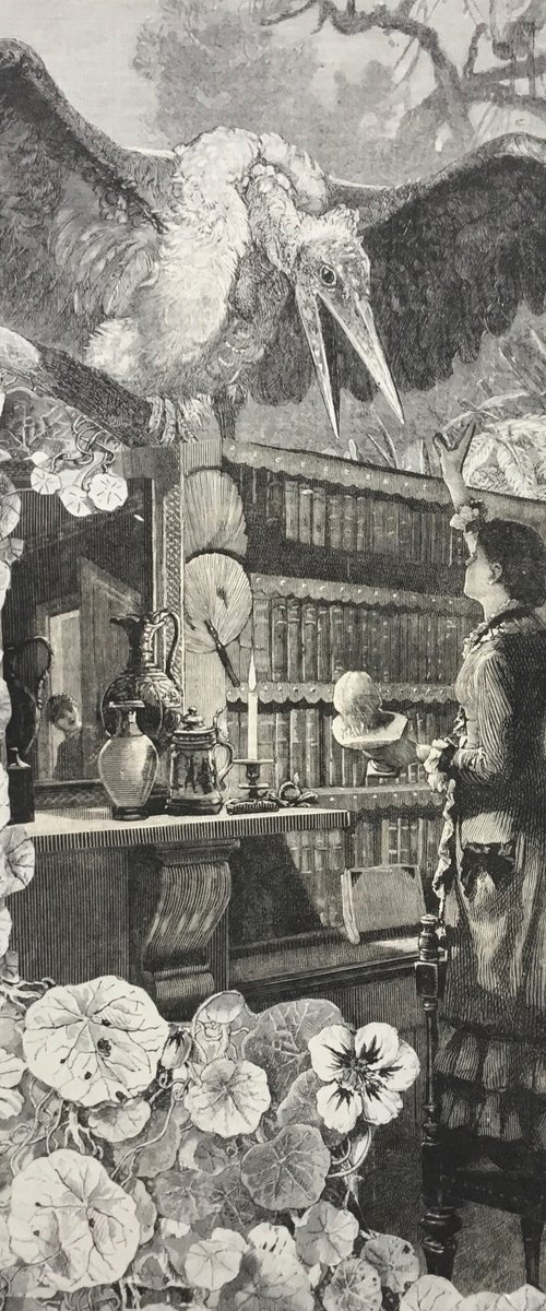 In The Library by Tudor Evans