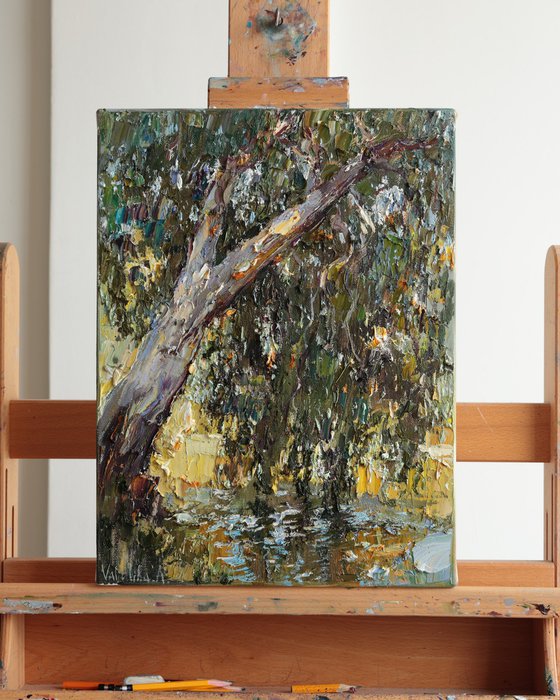 Yarkon Riverside Tree, Tel Aviv