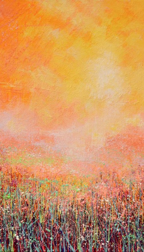 Meadow at Sunset by Marc Todd