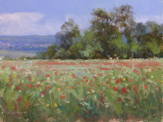 Fields near Gordes