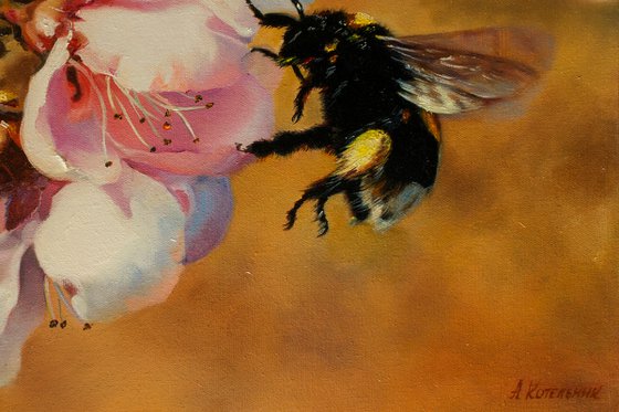 "Furry Bumblebee"  spring apple tree flower bumblbee liGHt original painting  GIFT (2016)