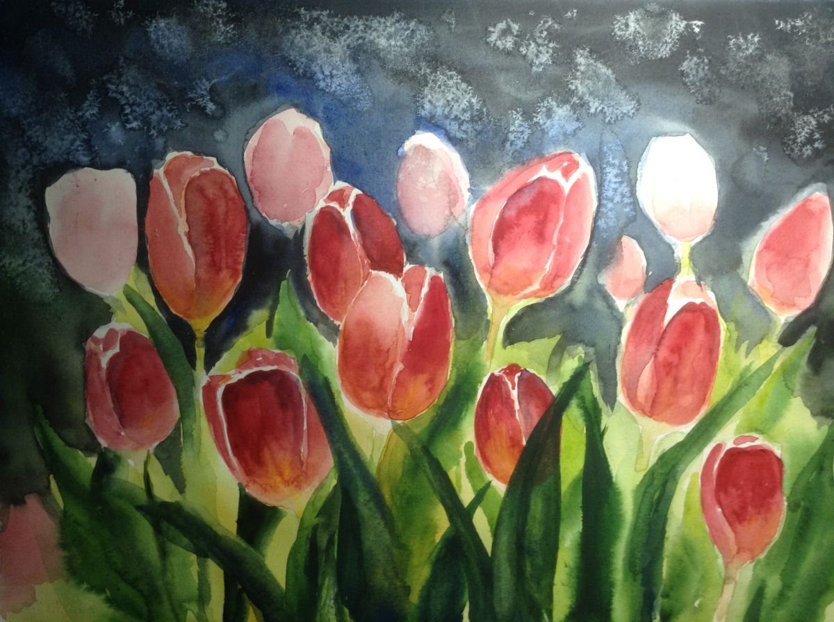 Tulips by Nata New