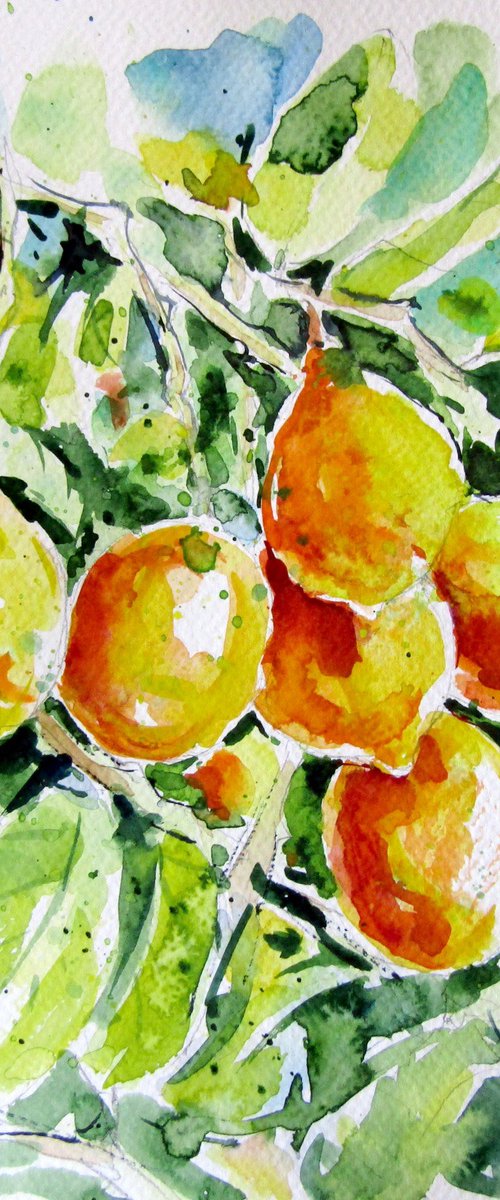 Lemons by Kovács Anna Brigitta