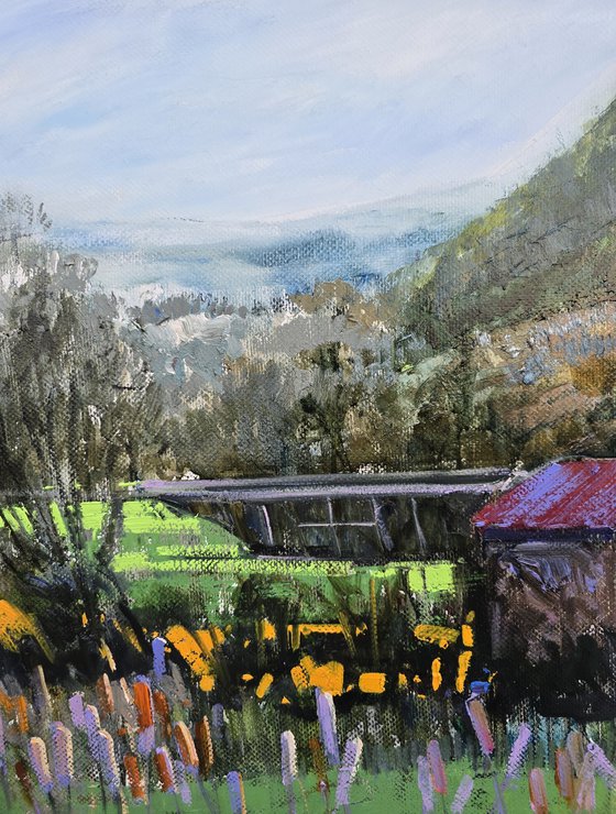 Where Mimosas Bloom