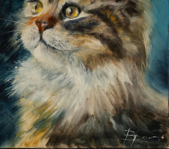 Majestic Longhair Cat