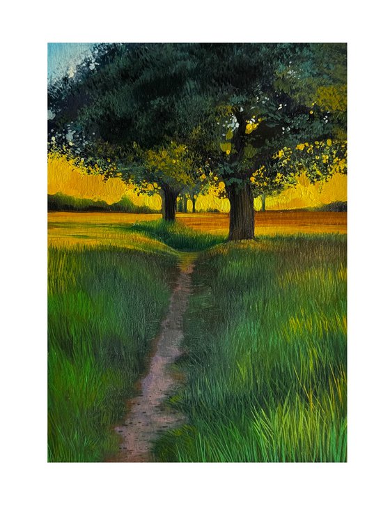 Sunset Landscape