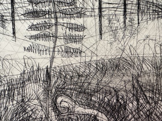 Terminal Frond Etching