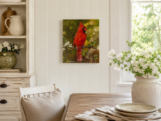Red Cardinal