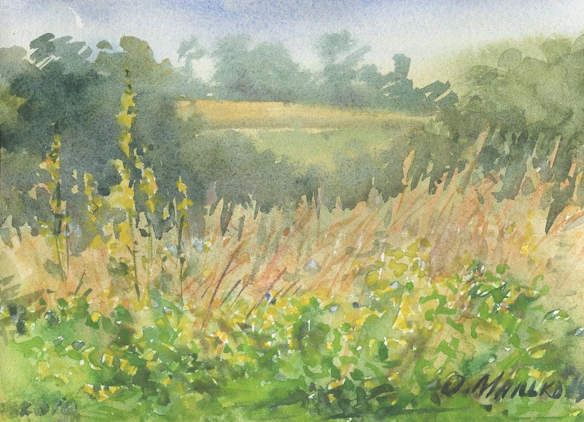 Summer grassland / Watercolor landscape Rural scenery by Olha Malko