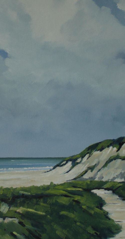 Through the dunes by John Halliday