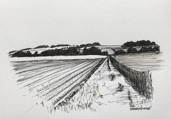 Norfolk Farm Track - Traditional Landscape Drawing Pen Ink