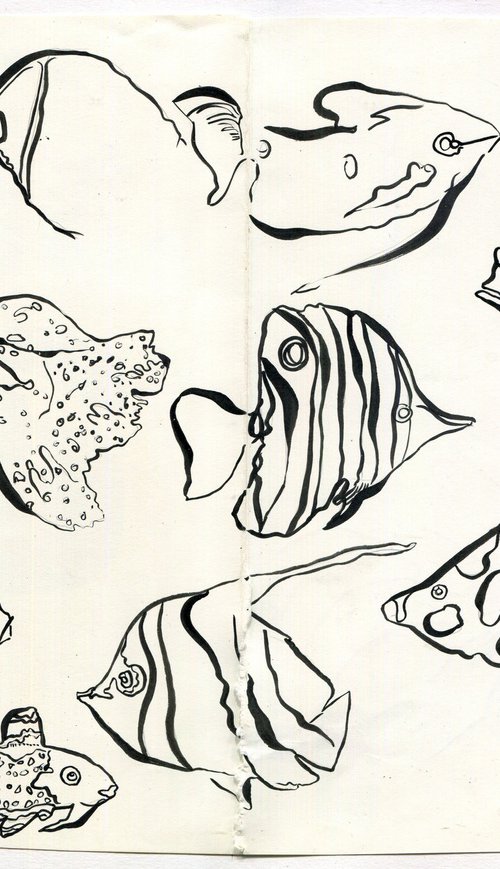 Collection of Fish by Hannah Clark