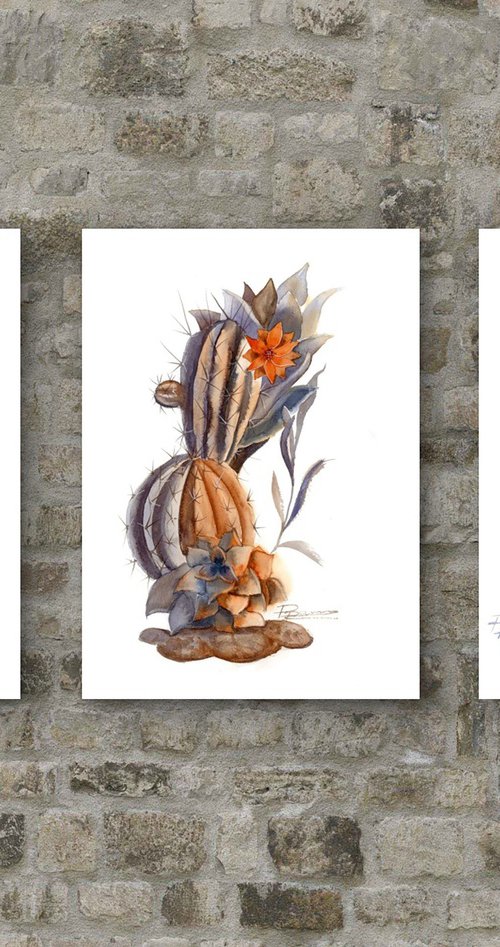 Cactuses by Olga Tchefranov (Shefranov)